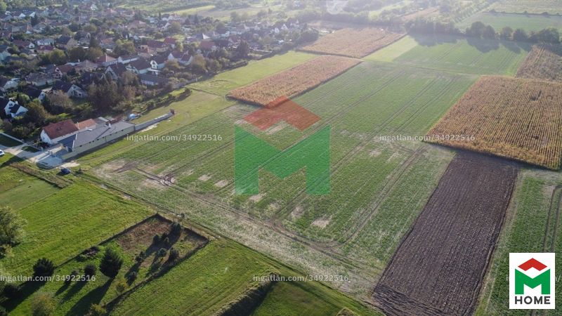 Bild über die Immobilie