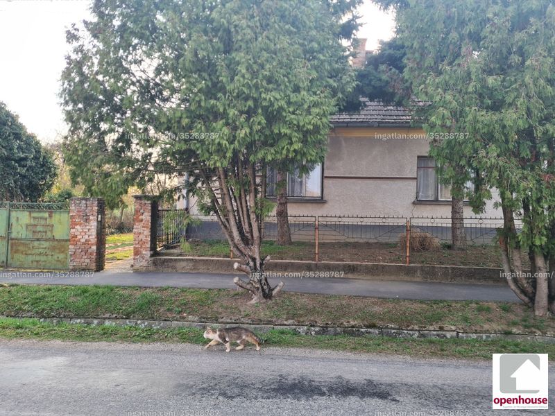 Hirdetés fotója
