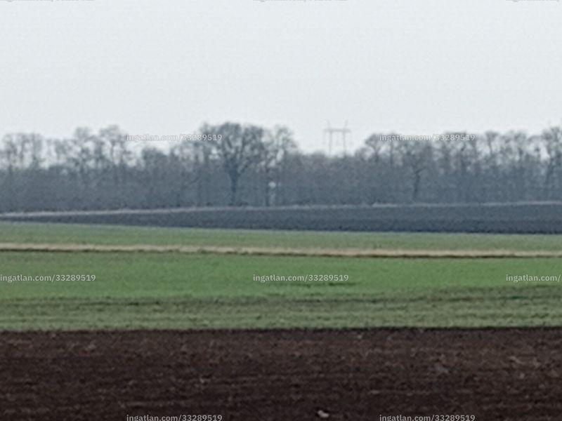 Foto auflisten