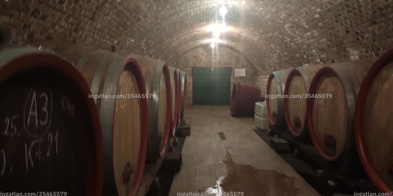 cellar