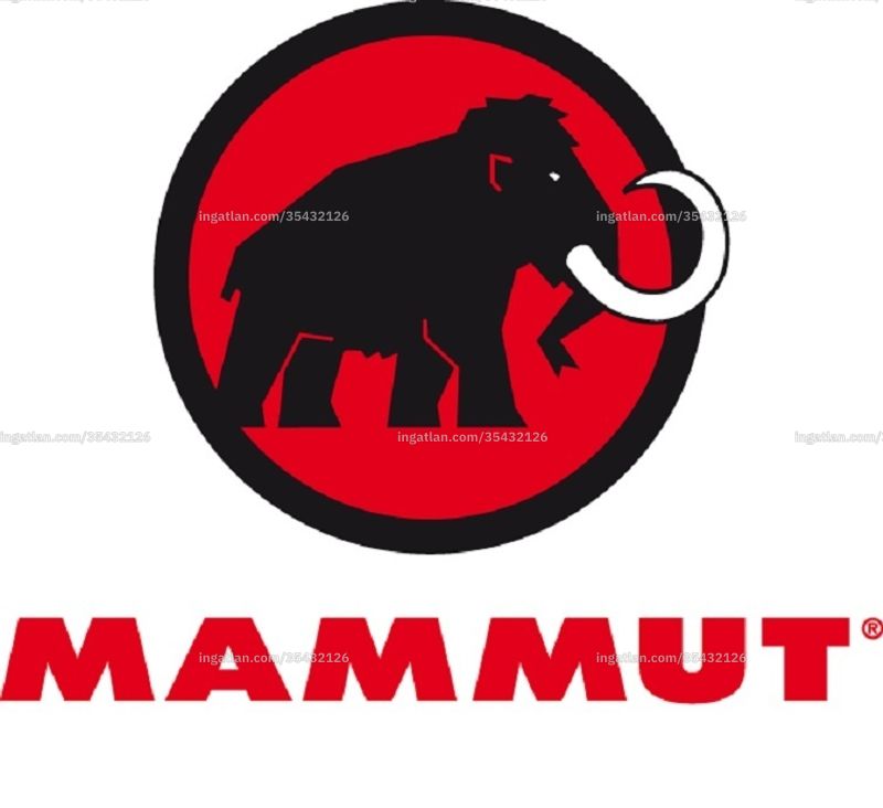 Bild über die Immobilie