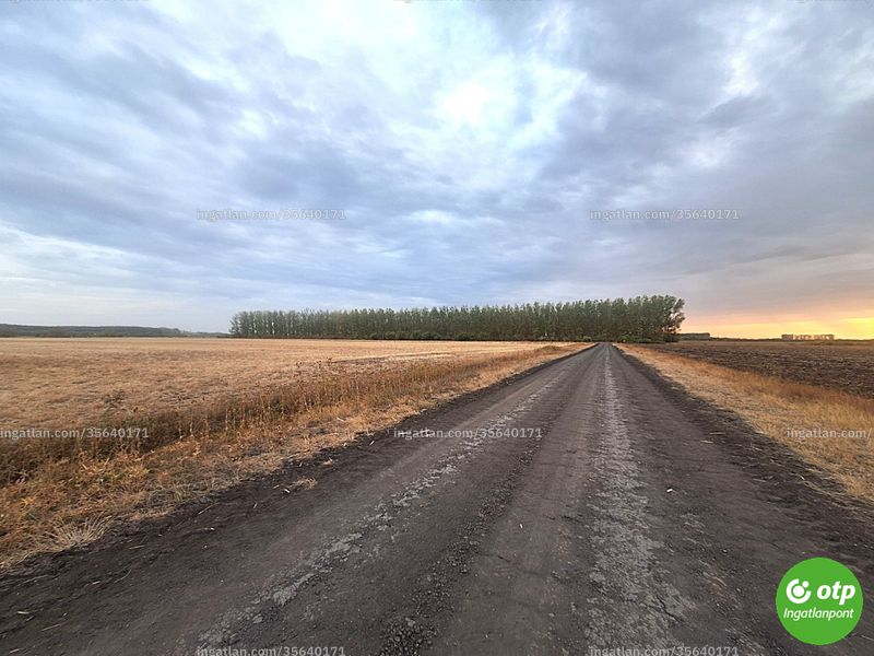 Foto auflisten