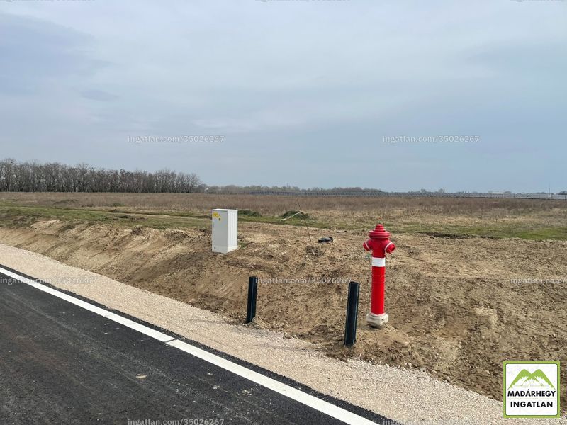 Kép az ingatlanról