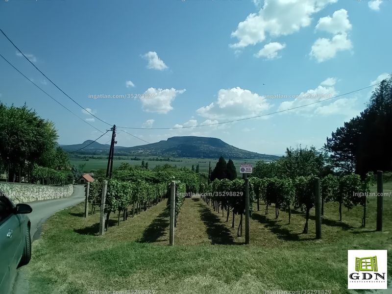 Ingatlan kép