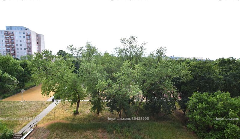 kilátás