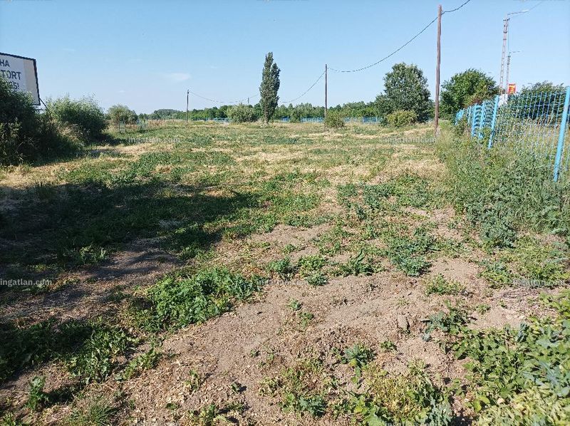 Polgár - 3. kép
