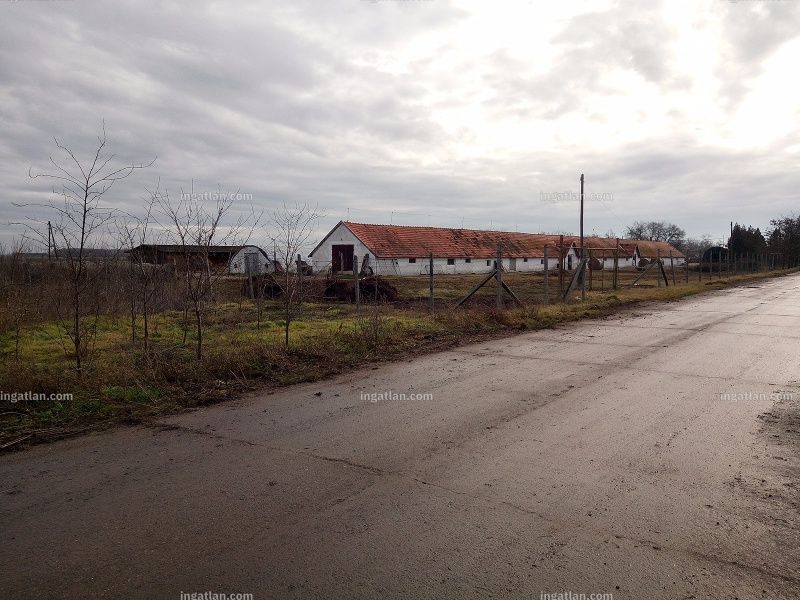 Foto auflisten
