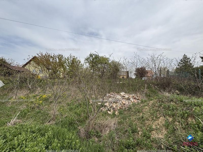 Bild über die Immobilie
