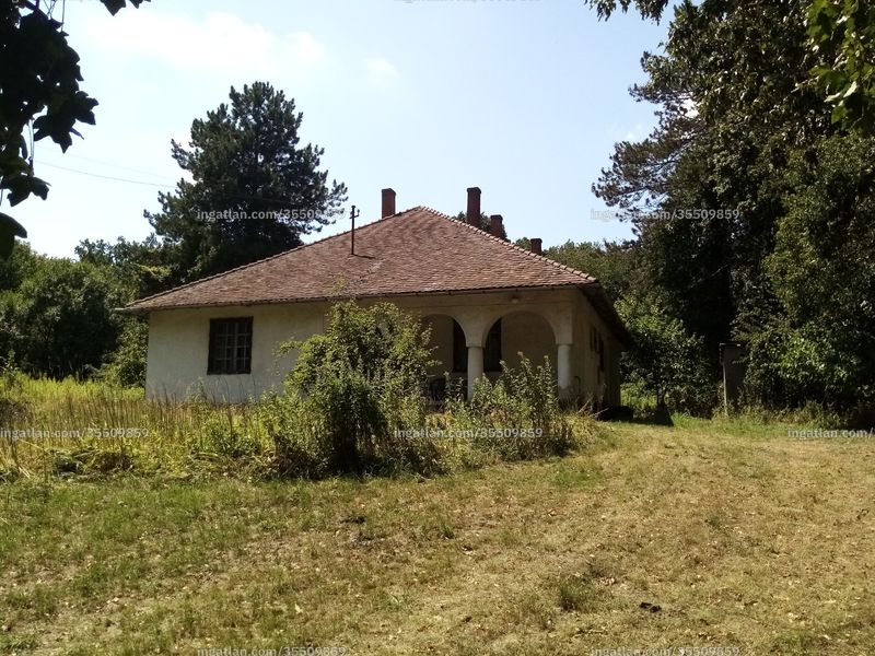 Kép az ingatlanról