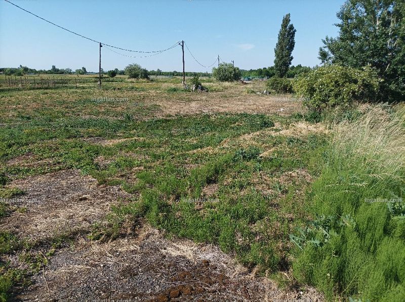 Polgár - 4. kép