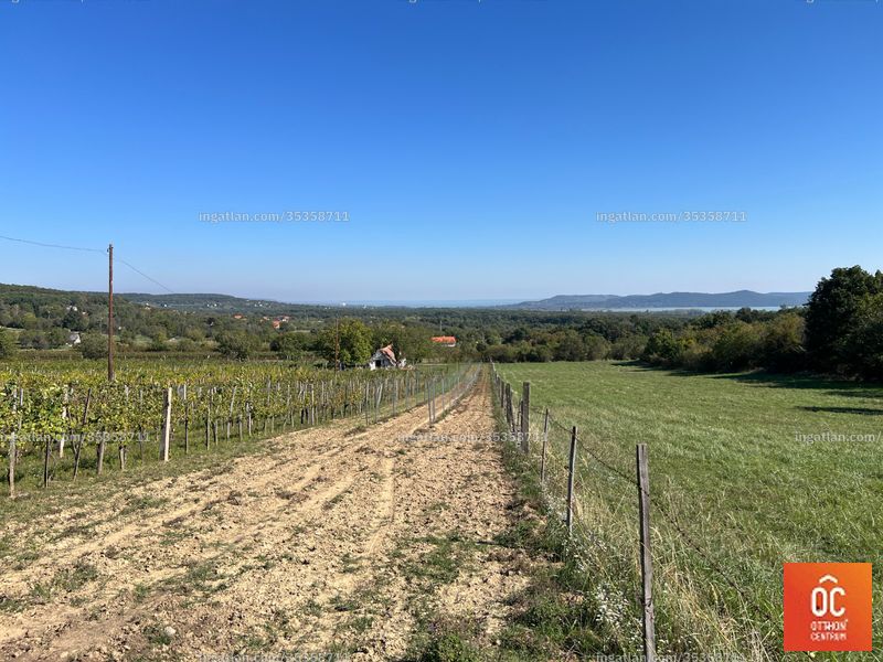 Aussicht