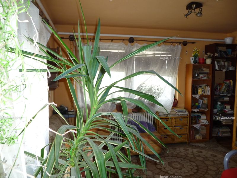 Foto auflisten