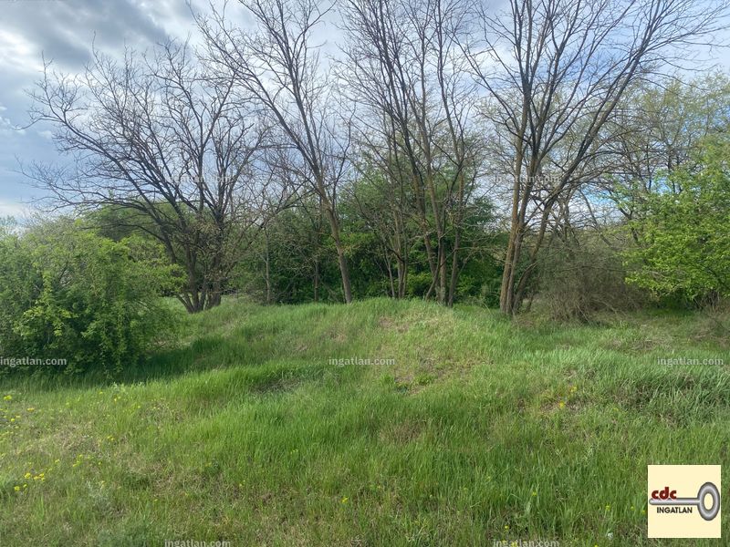 Bild über die Immobilie