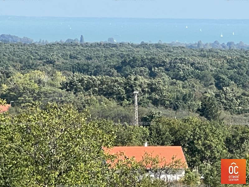 Umgebung