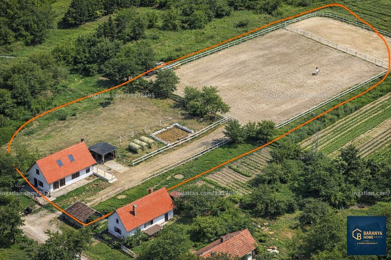 Hirdetés fotója