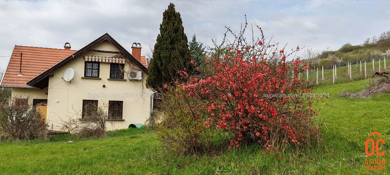 Foto auflisten