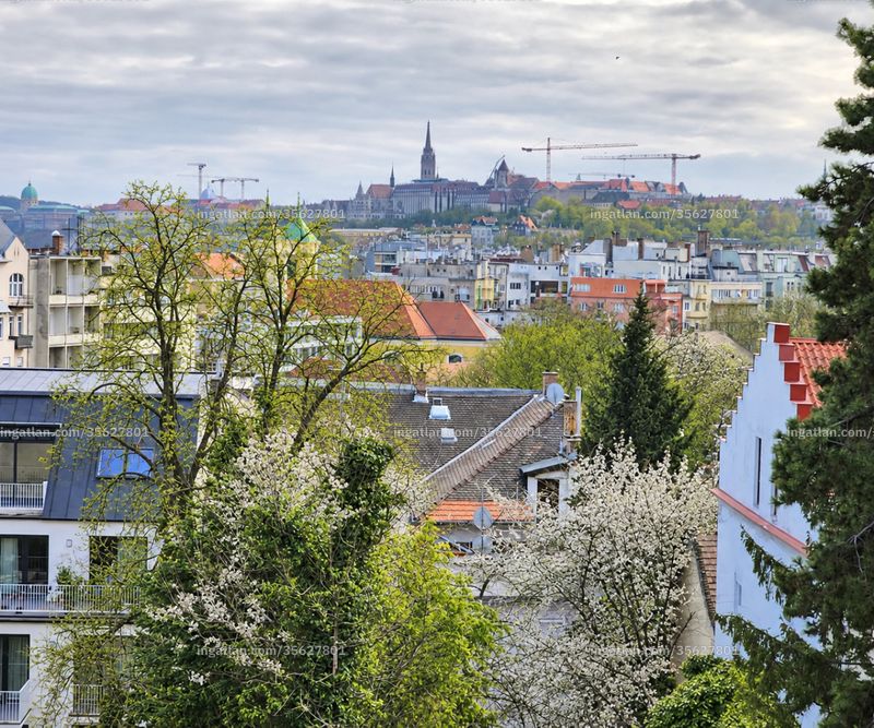 Foto auflisten