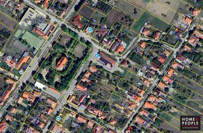 térkép