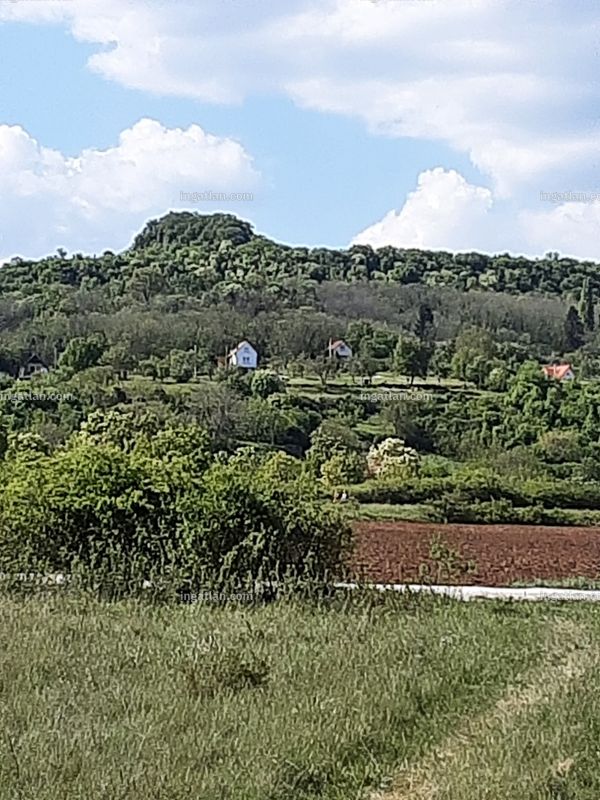 kilátás