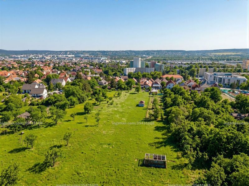 kilátás