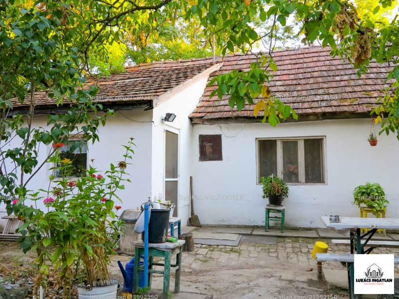 Ingatlan kép