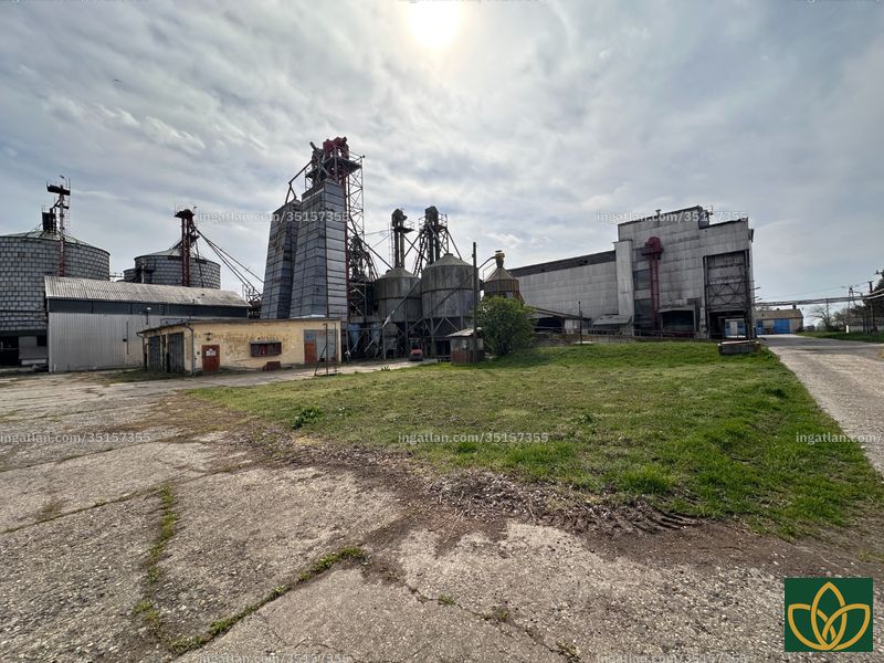 Bild über die Immobilie