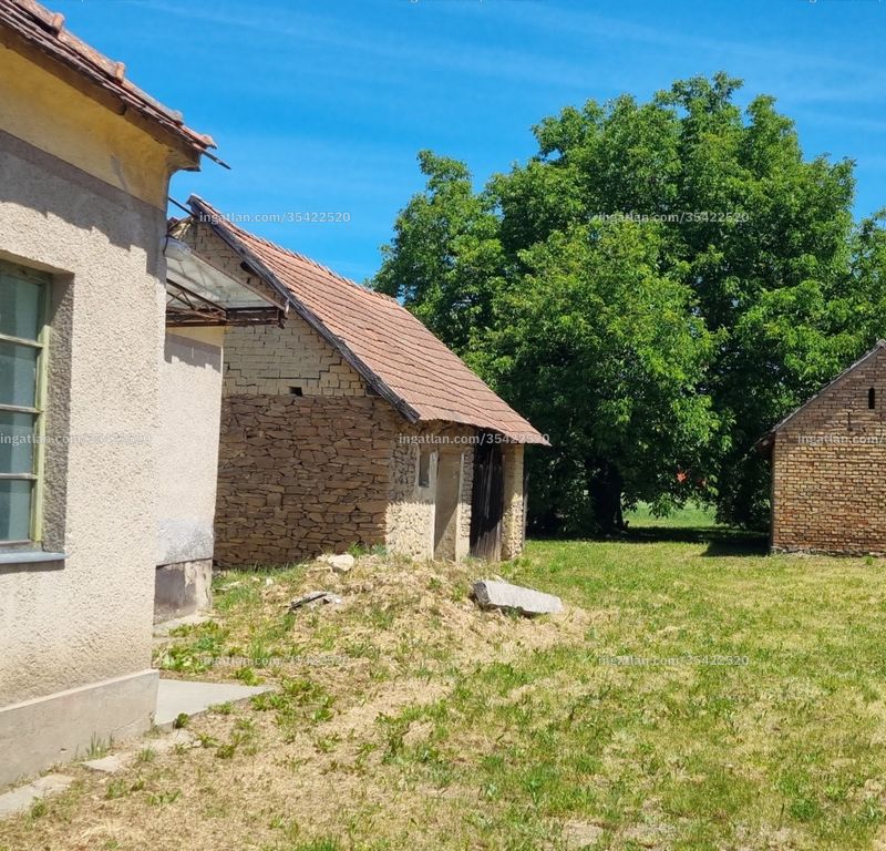 Kép az ingatlanról