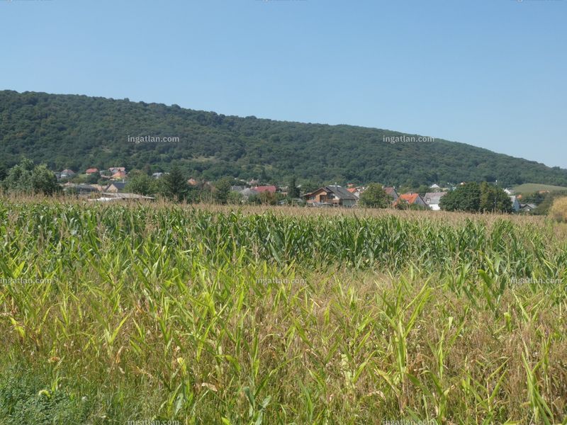 Hirdetés fotója