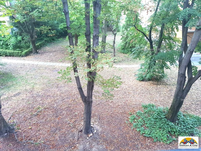 neighborhood