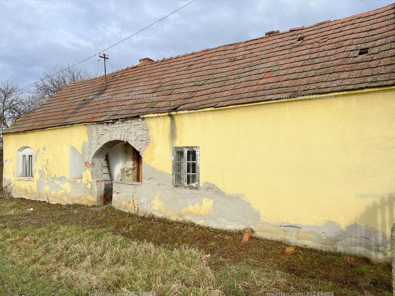 Ingatlan kép