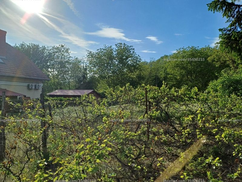 Foto auflisten