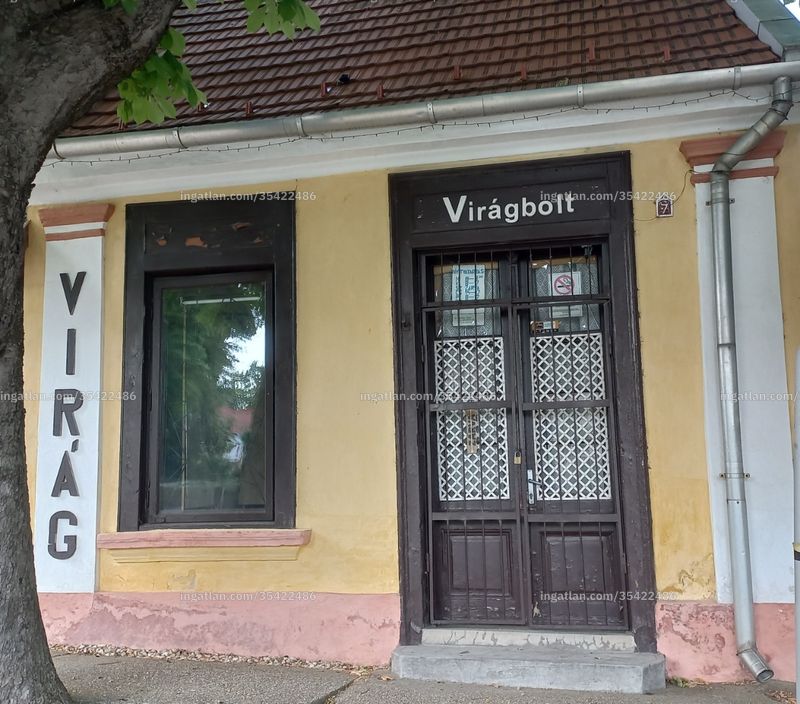 Ingatlan kép