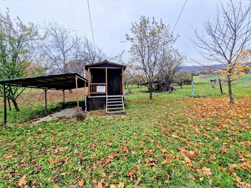Foto auflisten