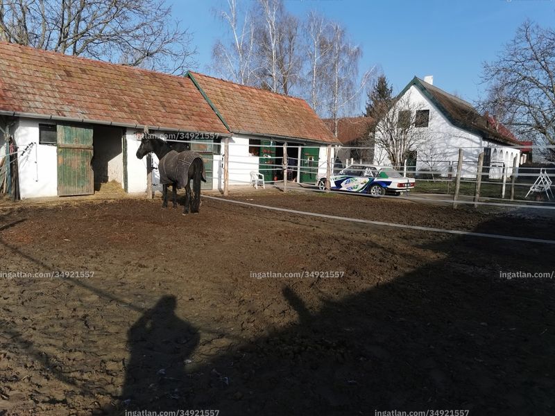 Hirdetés fotója