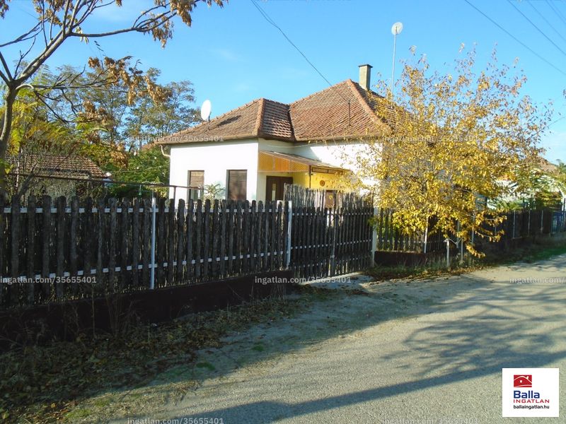 Ingatlan kép