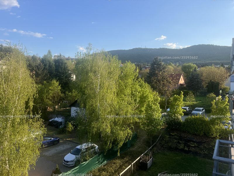 kilátás