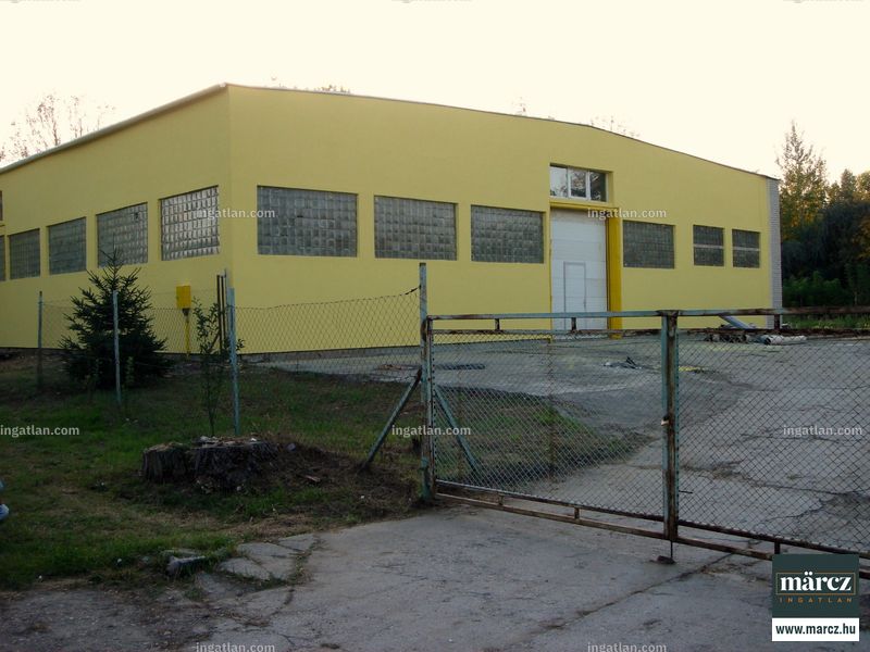 Hirdetés fotója