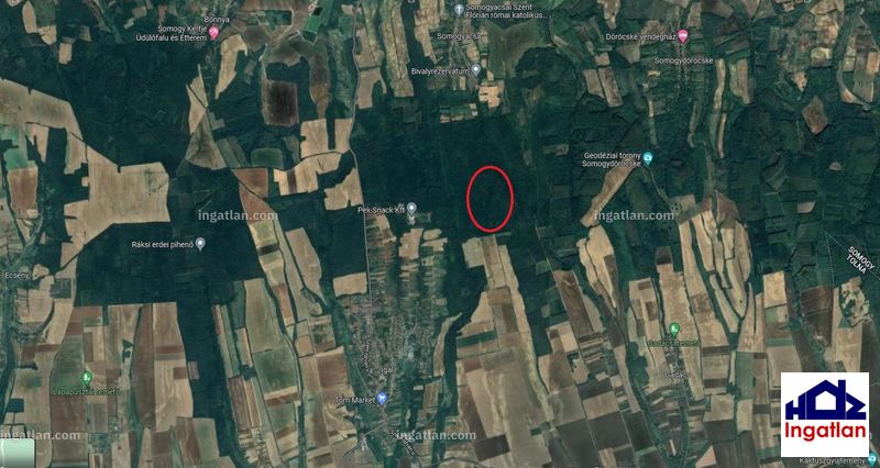 Bild über die Immobilie