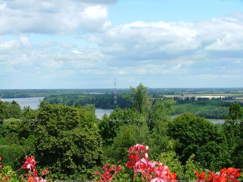 view