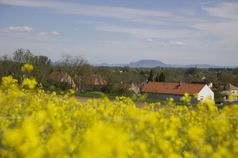 kilátás