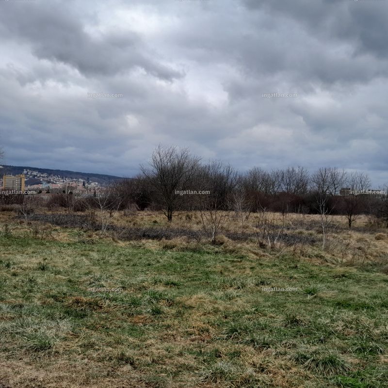 Foto auflisten
