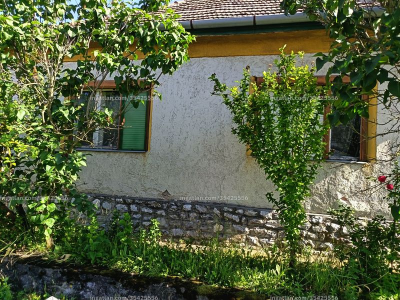 Foto auflisten