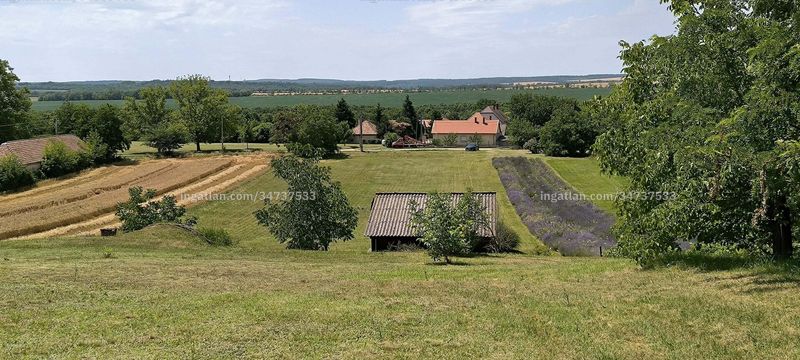 Hirdetés fotója