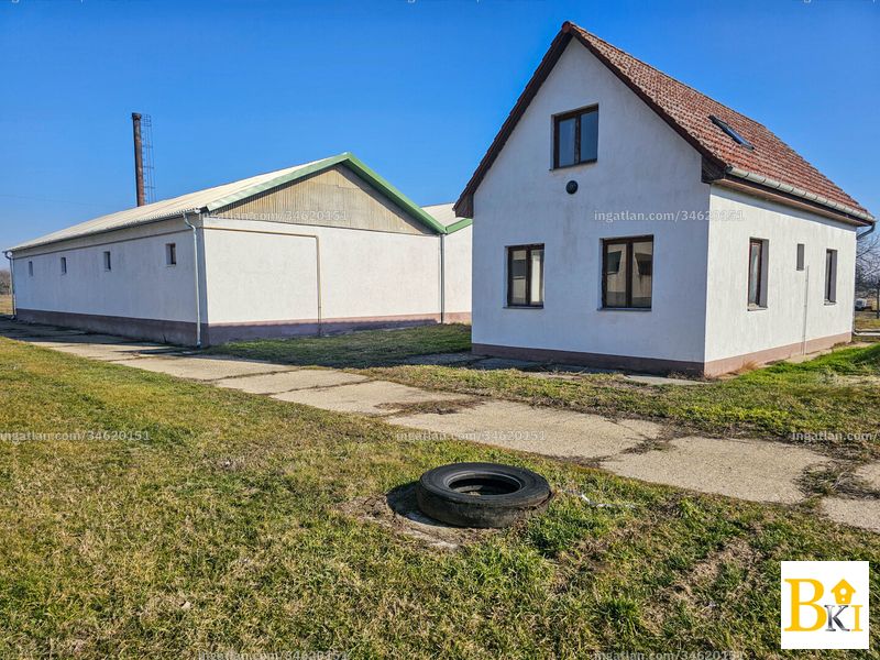 Foto auflisten