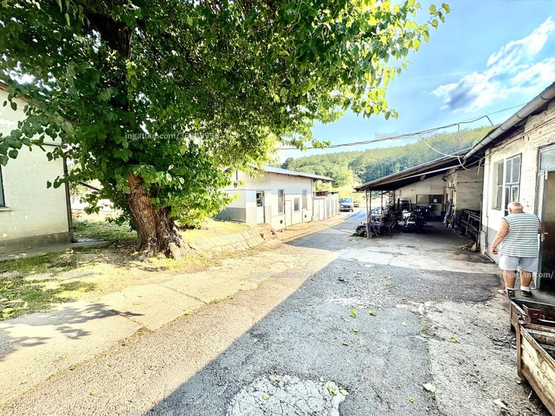 Listing photo