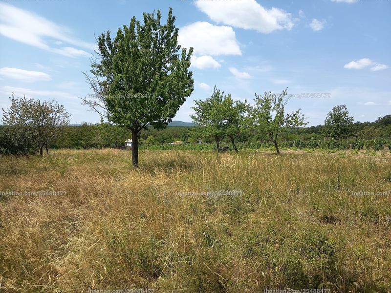 Foto auflisten