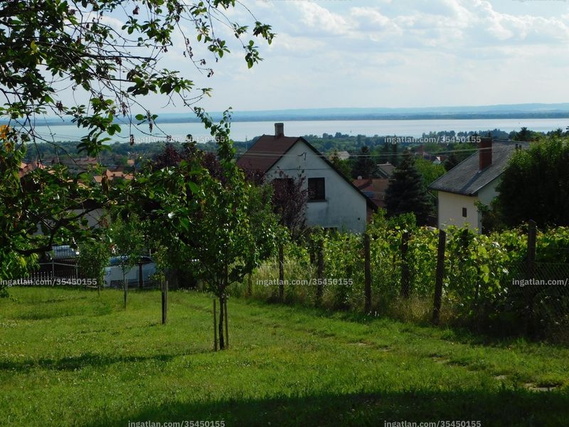 kilátás