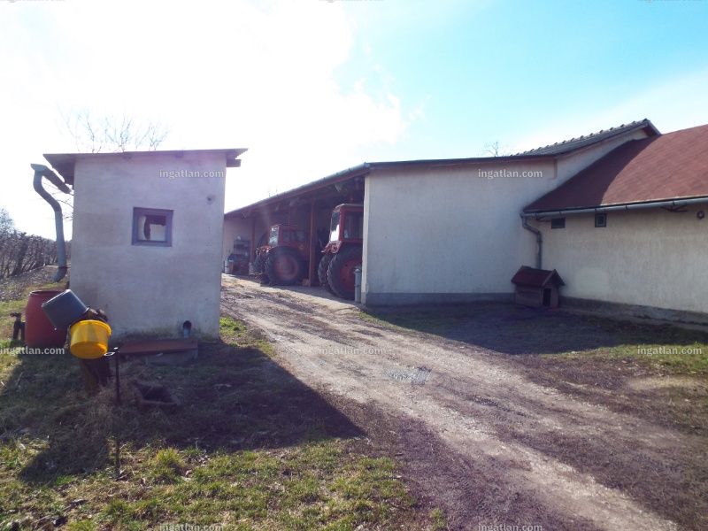 Kép az ingatlanról