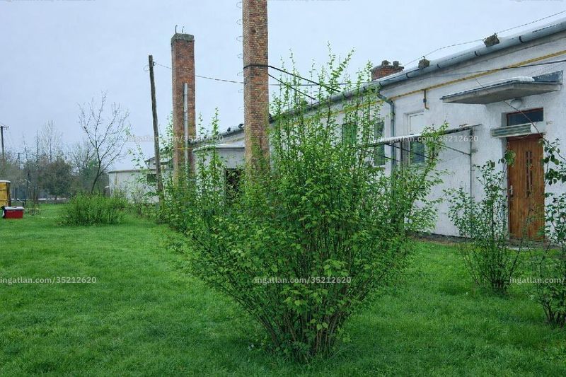 Foto auflisten