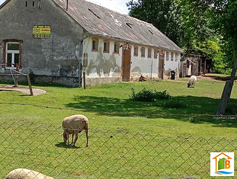 Hirdetés fotója